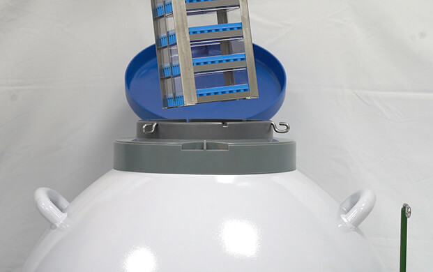 細菌可以凍在實驗室液氮罐里嗎？