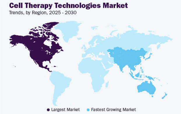 細(xì)胞治療技術(shù)市場增長態(tài)勢強(qiáng)勁，實(shí)驗(yàn)室的液氮容器需求攀升